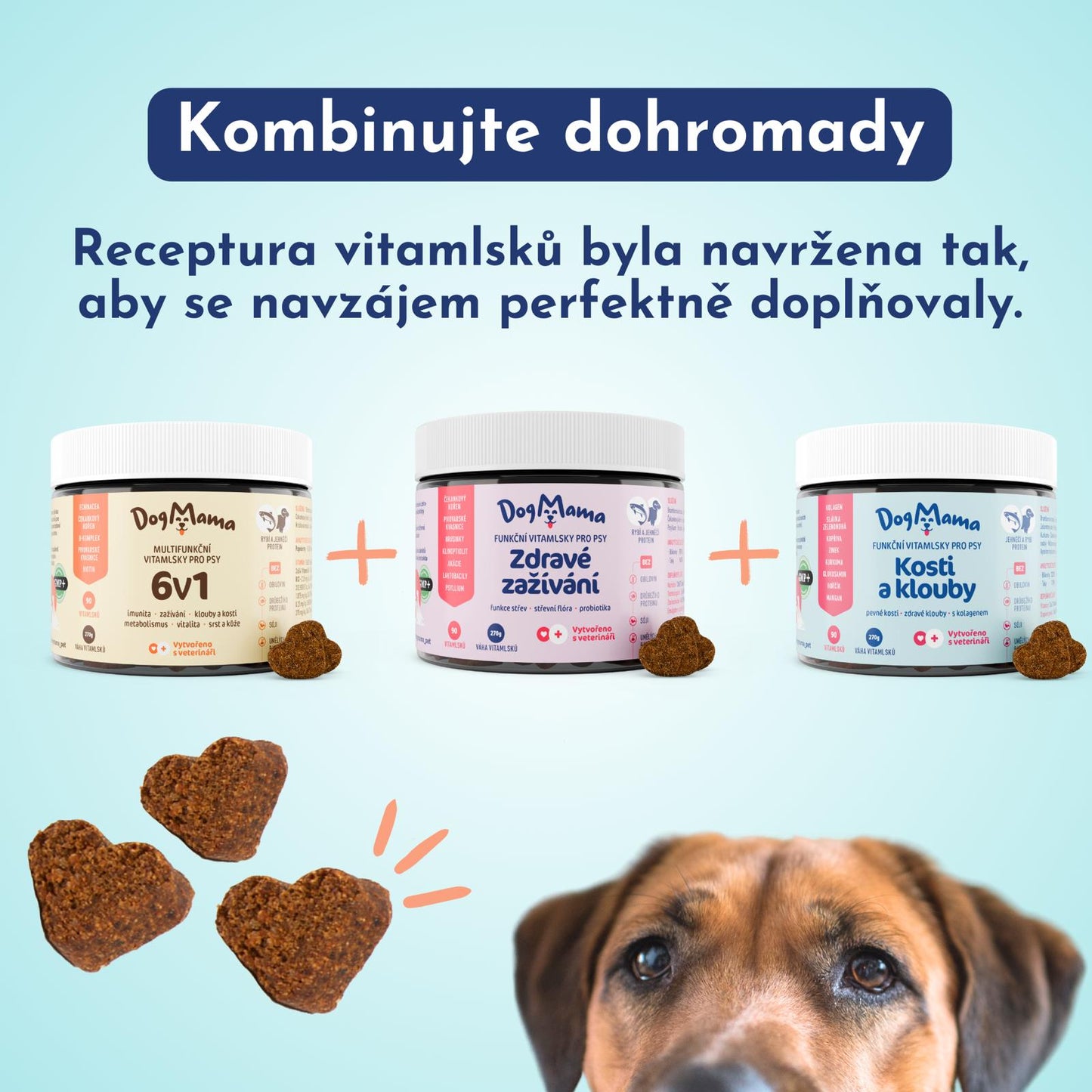 Digestión saludable + Probióticos