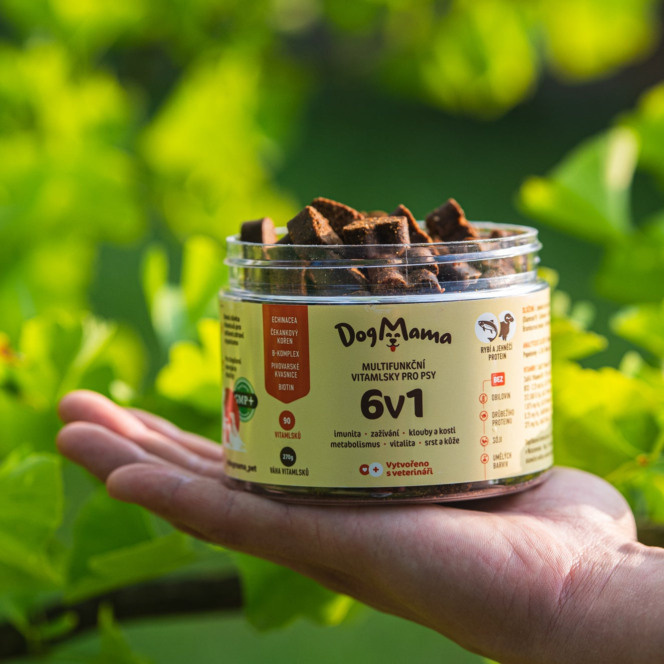 Multifuncional 6 en 1