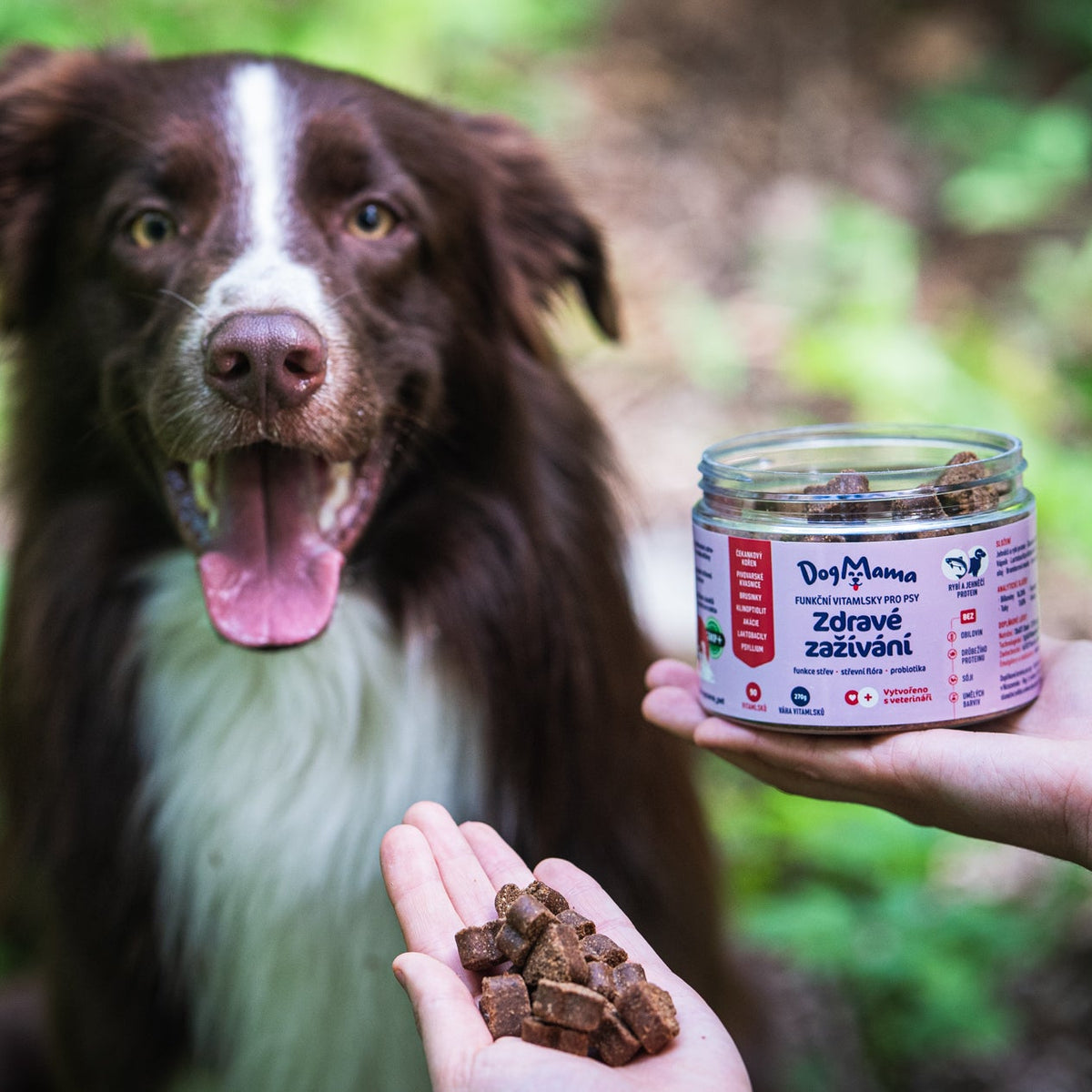 Digestión saludable + Probióticos