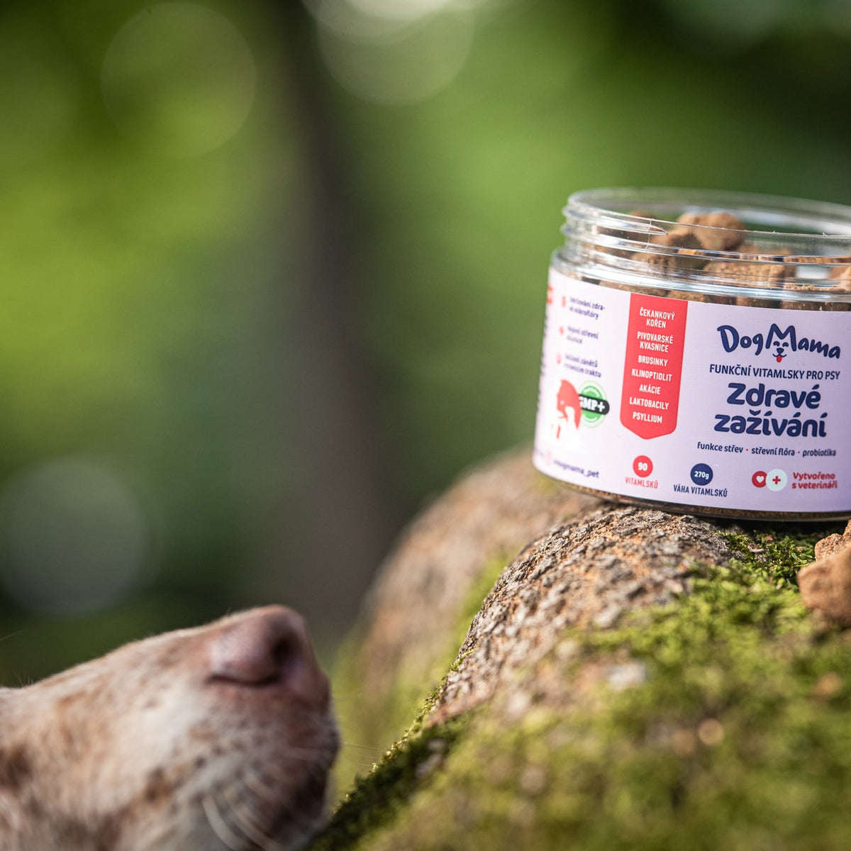 Digestión saludable + Probióticos