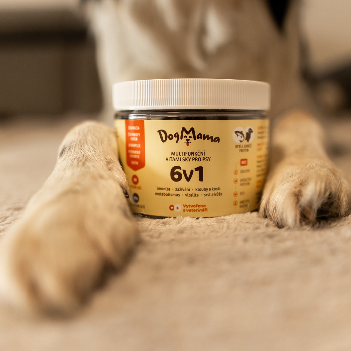 Multifuncional 6 en 1