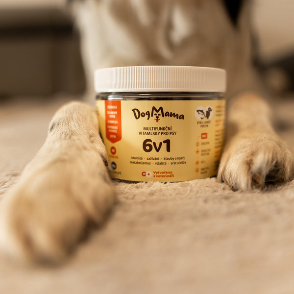 Multifuncional 6 en 1