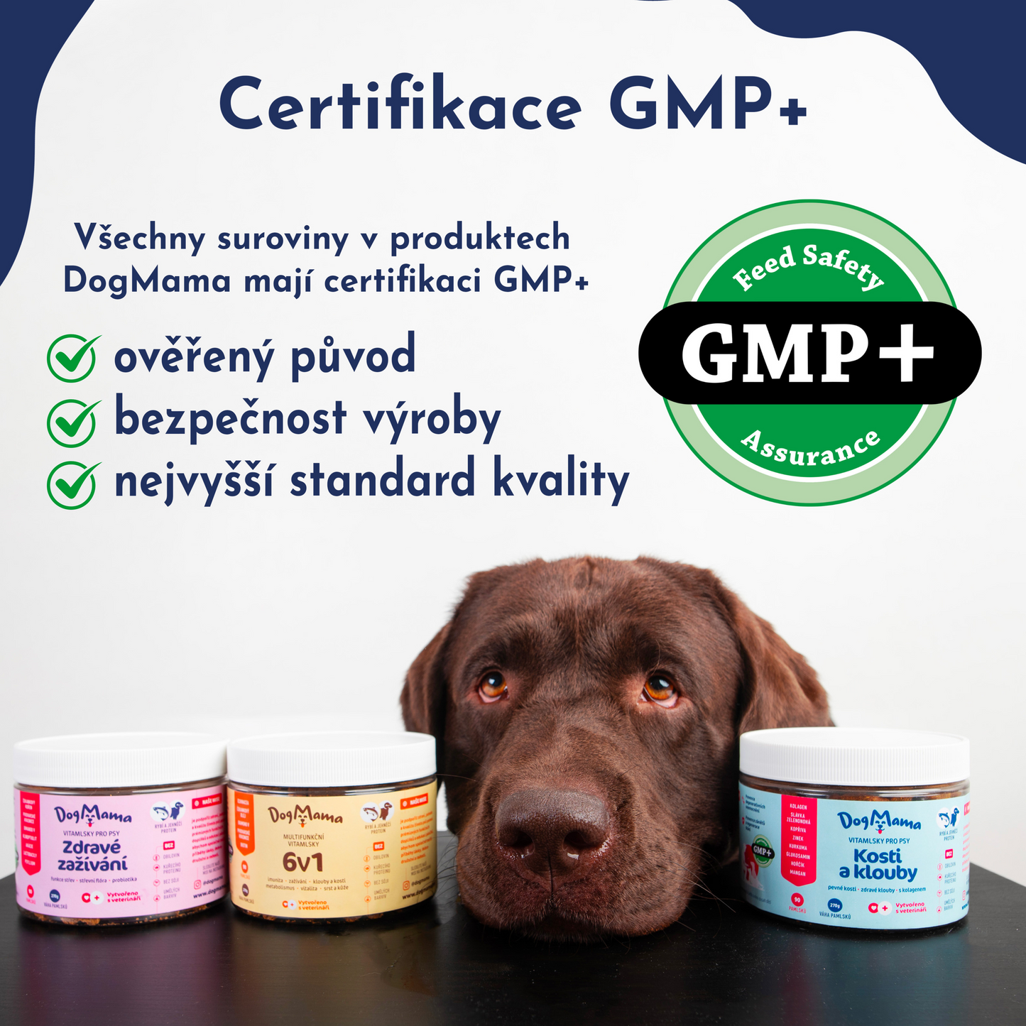 Digestión saludable + Probióticos