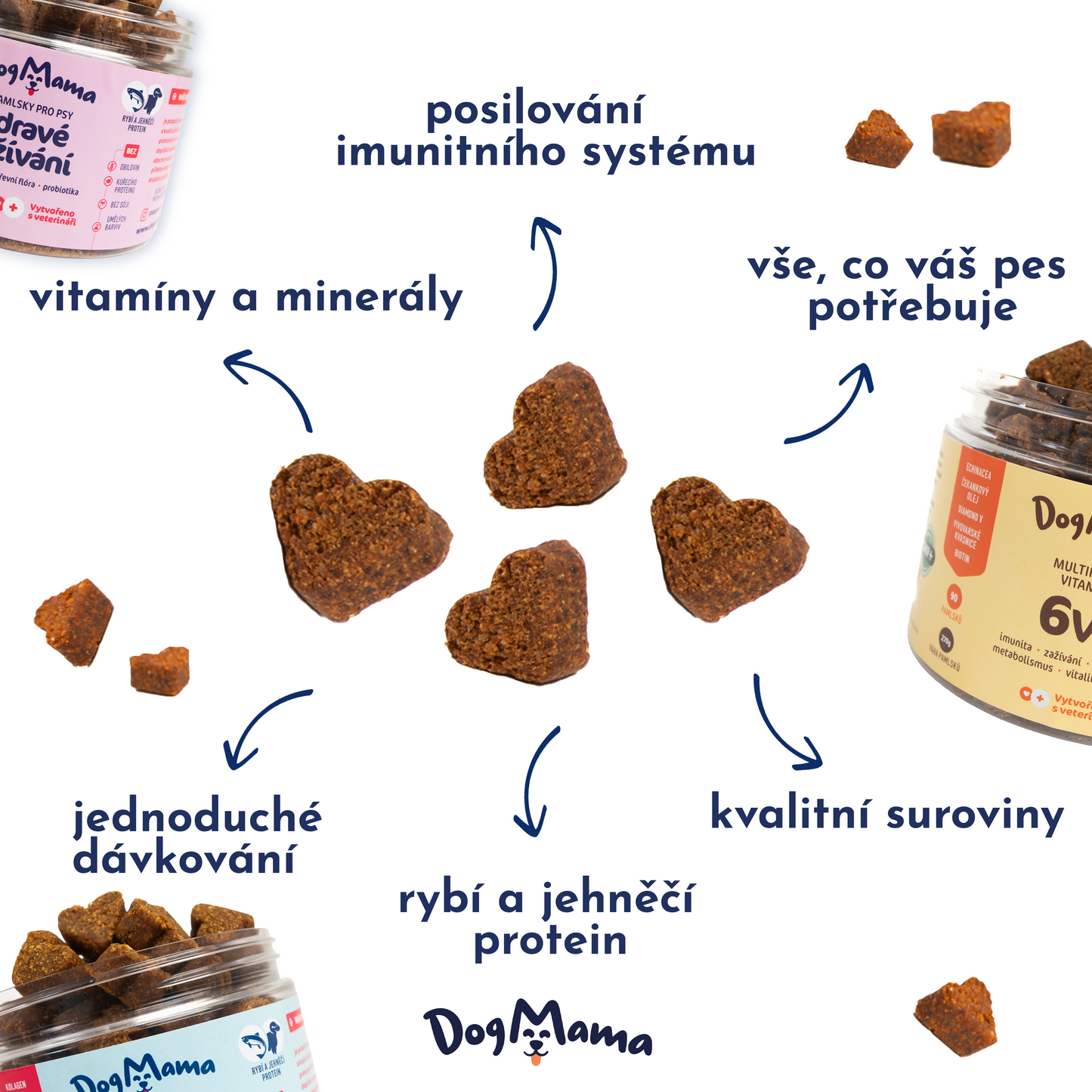 Digestión saludable + Probióticos